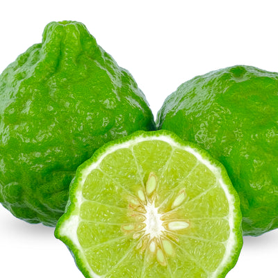 CITRUS HYSTRIX(KAFFIR LIME)