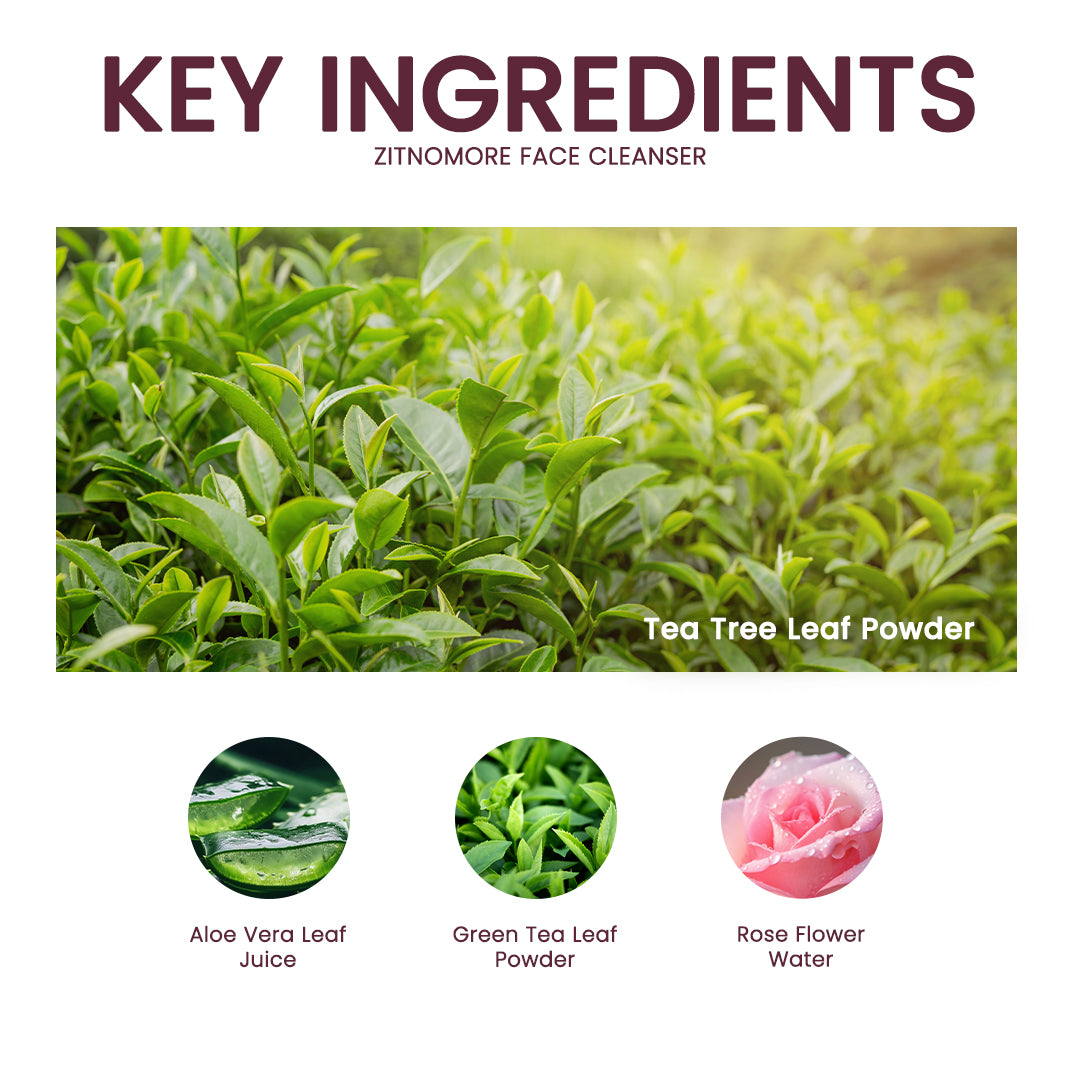 ZitNoMore - Tea Tree Anti Acne Face Cleanser