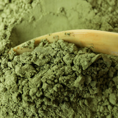 MIMOSA PUDICA(CHUI-MUI) POWDER