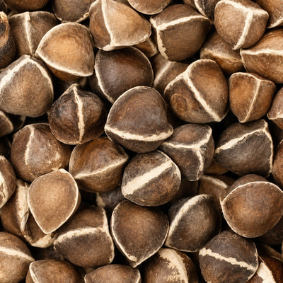 MORINGA OLEIFERA(MORINGA) SEED OIL