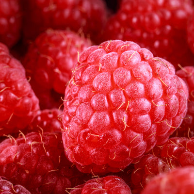 RUBUS IDAEUS (RED RASPBERRY) SEED OIL