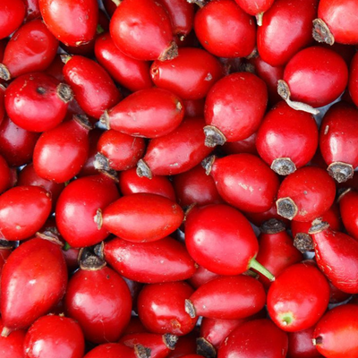 ROSA CANINA(ROSEHIP) FRUIT WATER