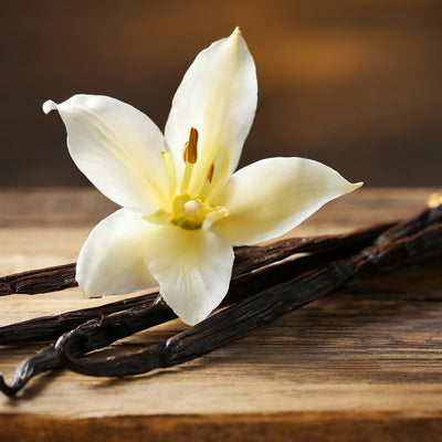VANILLA PLANIFOLIA(VANILLA) FRUIT OIL