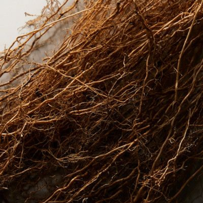 VETIVERIAZIZANIOIDES (VETIVER) ROOT OIL