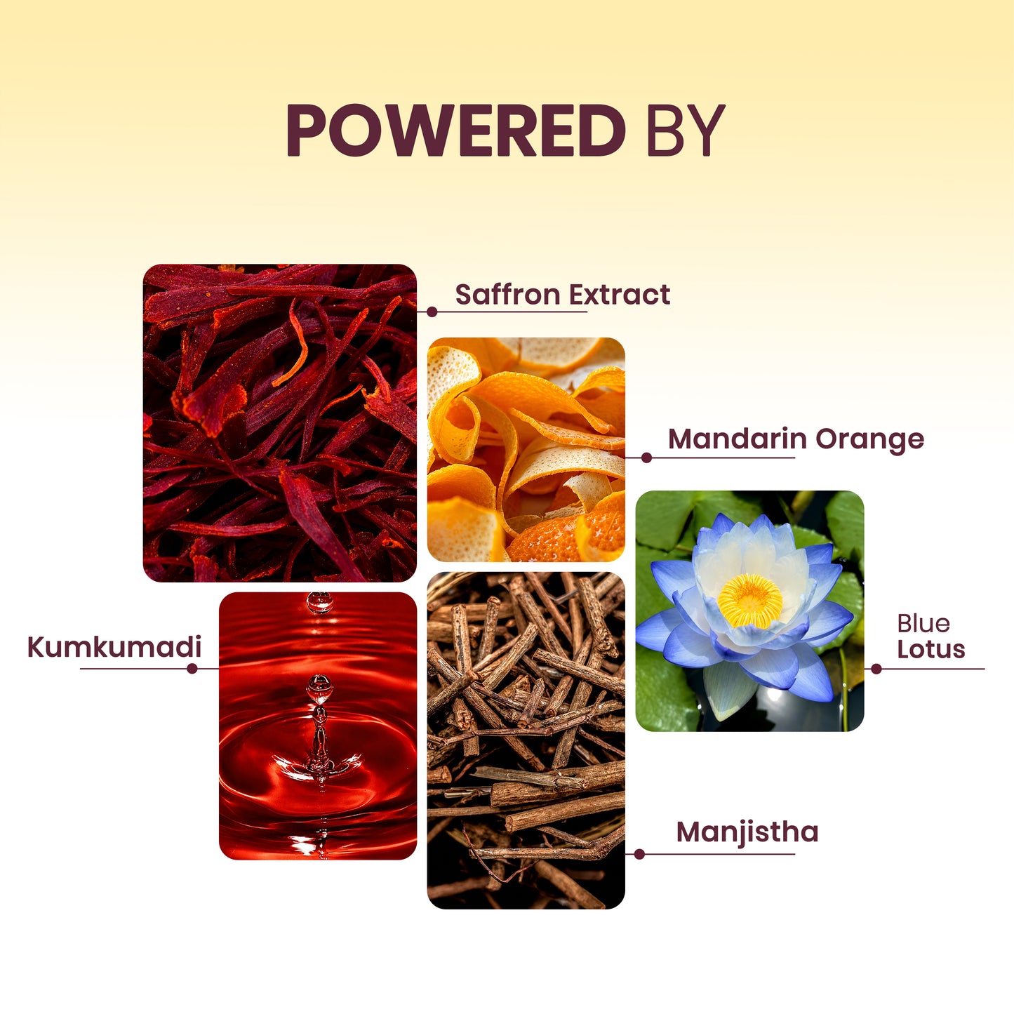 Aestha Kumkumadi Face Oil
