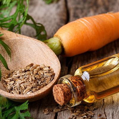 DAUCUS CAROTASATIVA (CARROT) SEED OIL