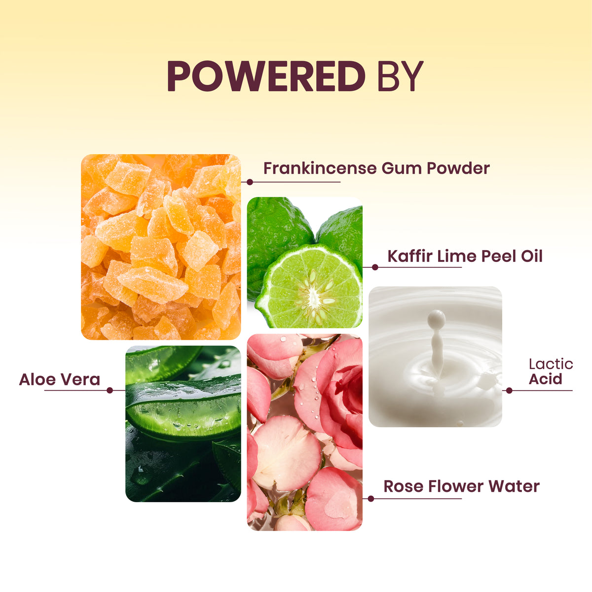 Lime & Light - Frankincense & Lime Shower Gel