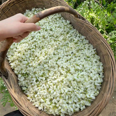 JASMINUM SAMBAC(MOGRA) FLOWER OIL