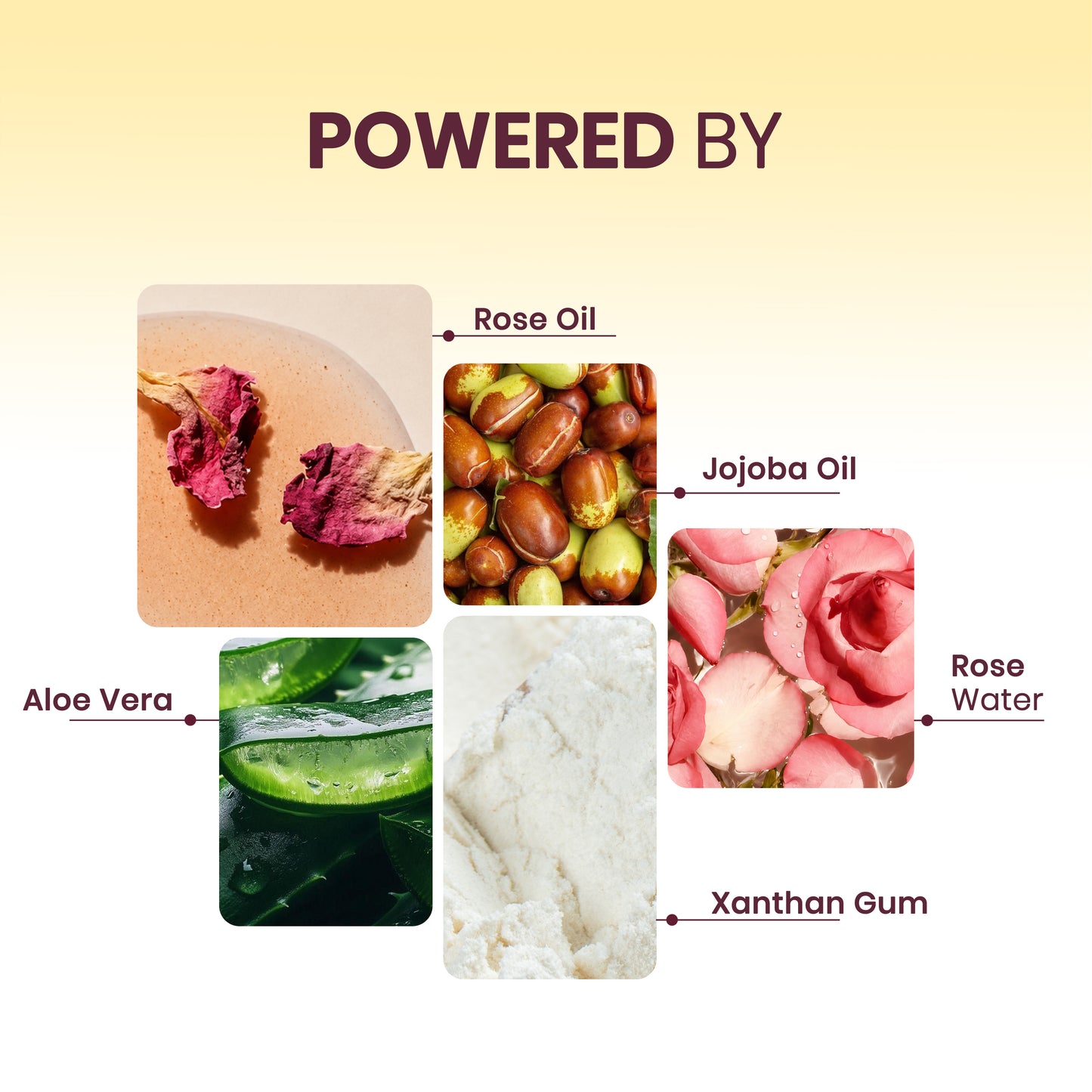 Petal Pour - Rose Hydrating Body Butter