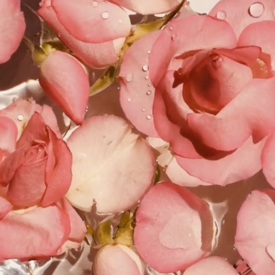 Rosa Damascena (Rose) Flower Water