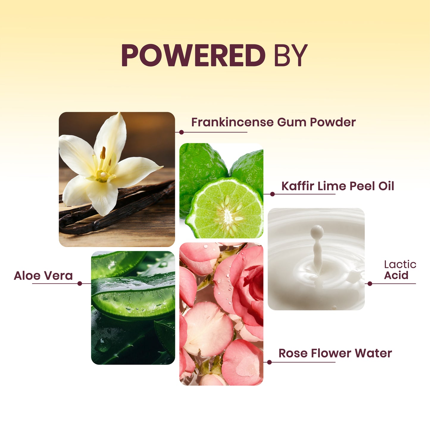 Lime & Light - Frankincense & Lime Shower Gel