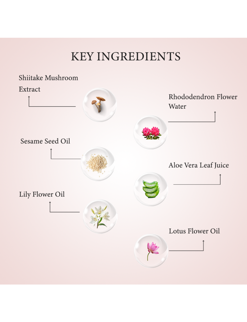 ShiiSoSoft - Shiitake Mushroom Body Butter