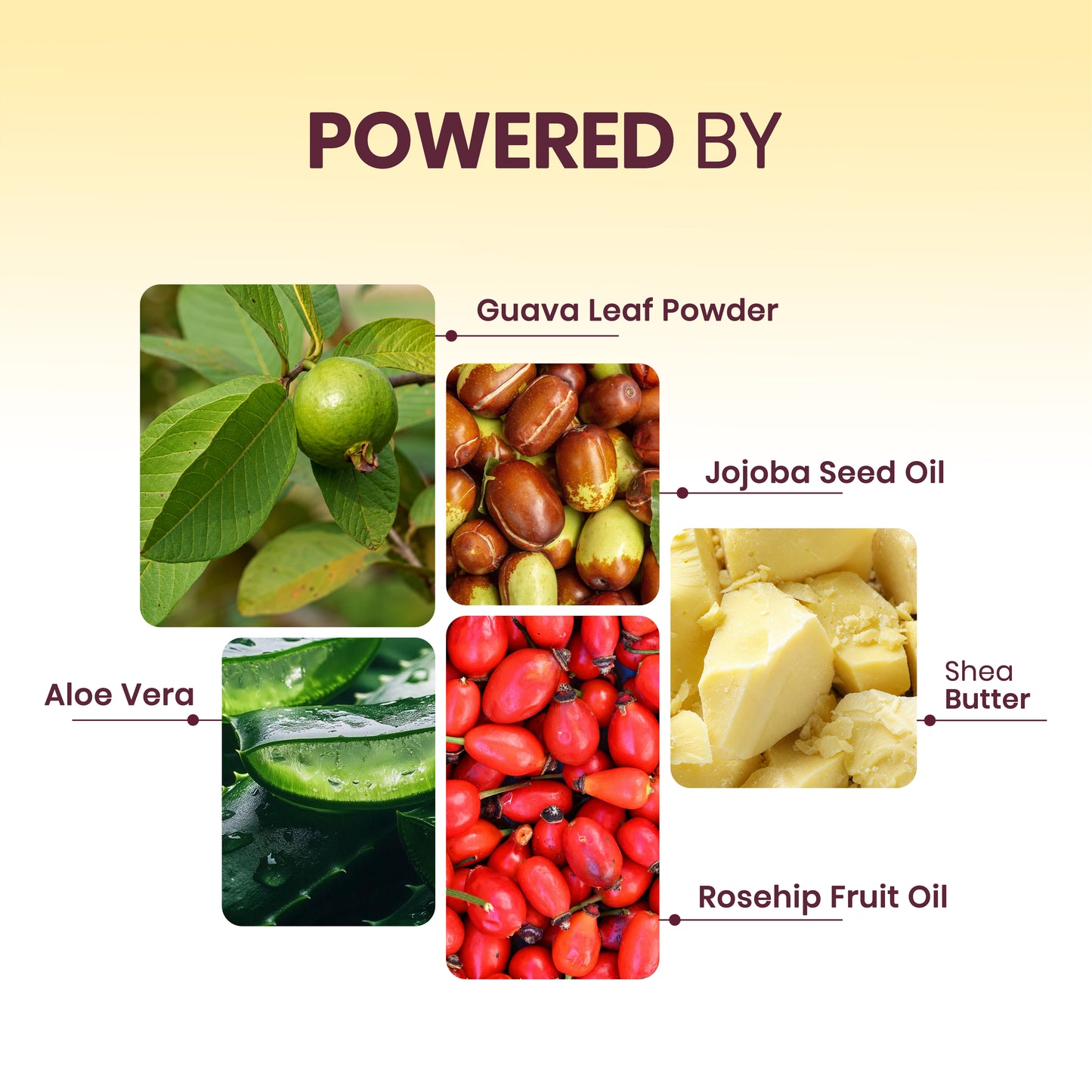 Untan - Guava Face Scrub