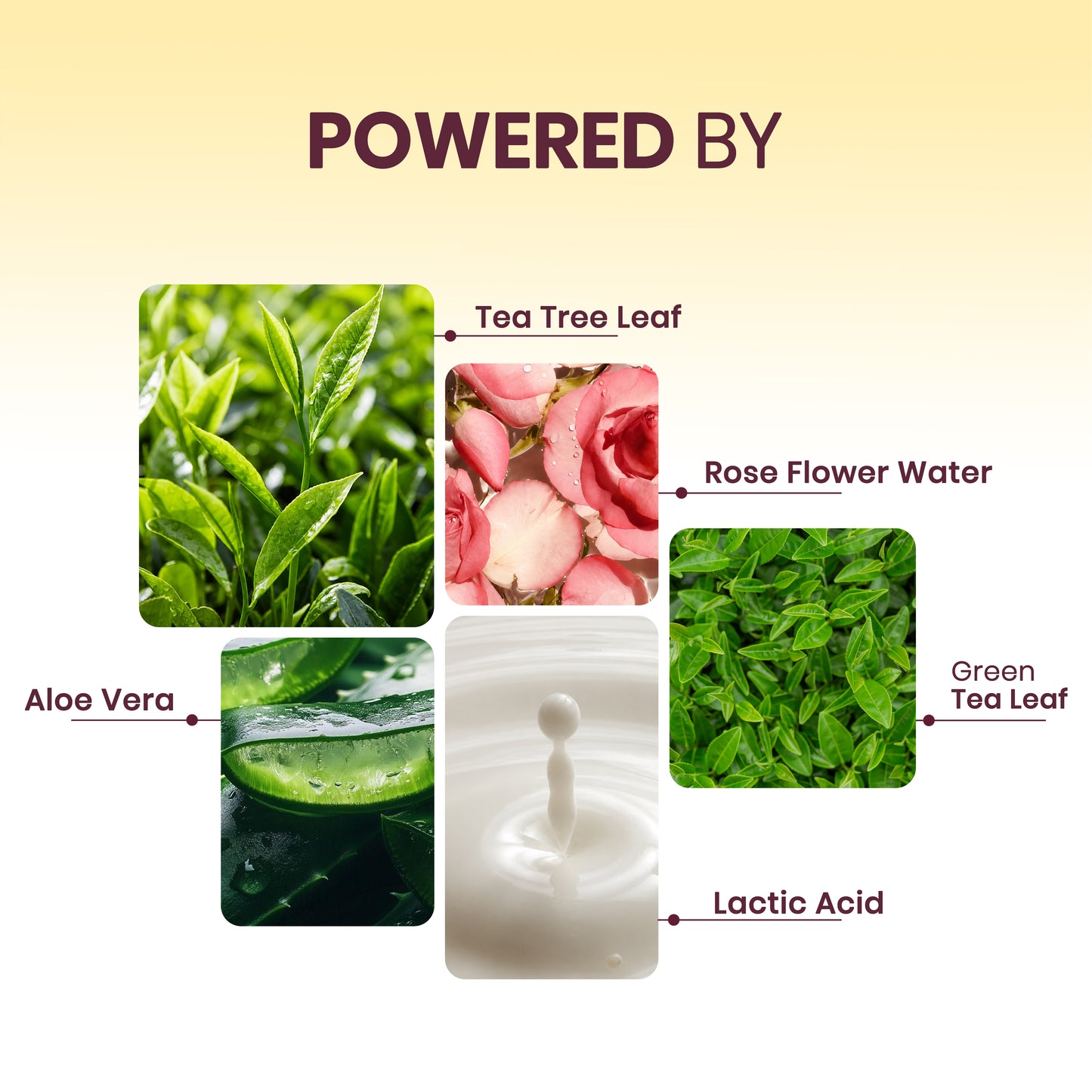 ZitNoMore - Tea Tree Anti Acne Face Cleanser